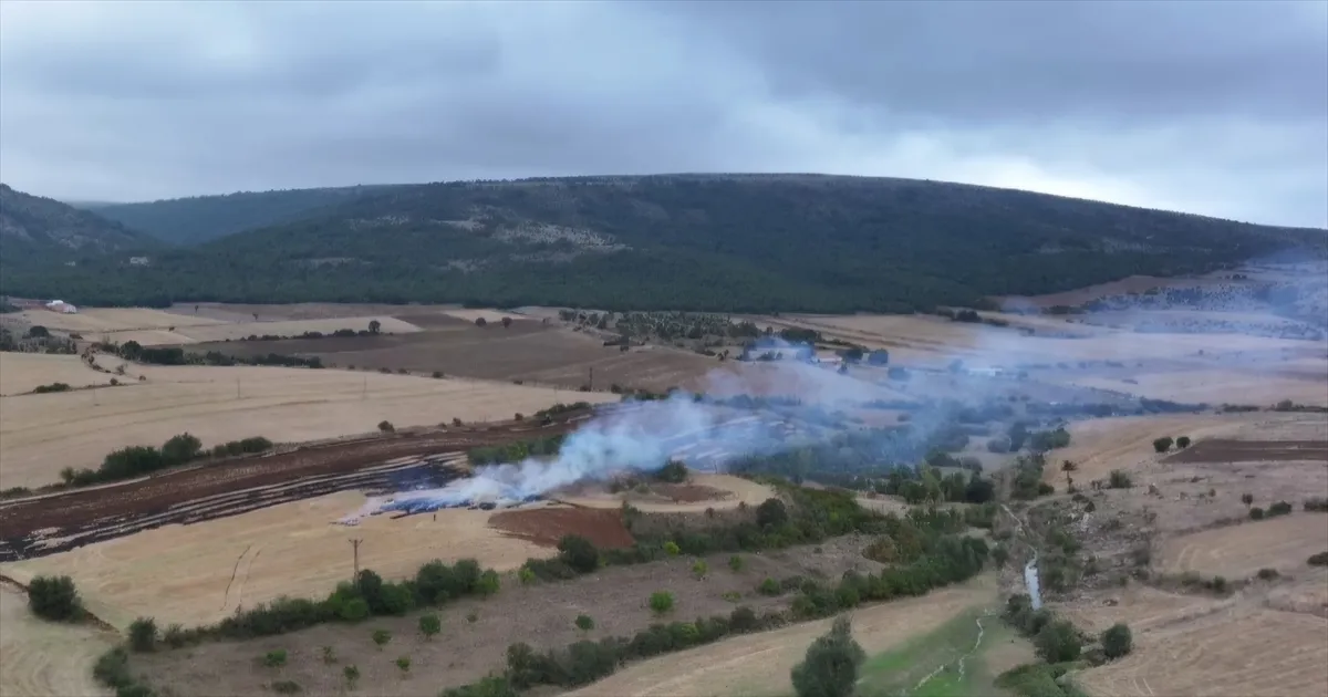 Çorum’da anız yakarken dronla görüntülenen kişiye para cezası uygulandı Çorum’da anız yakarken dronla görüntülenen kişiye para cezası uygulandı