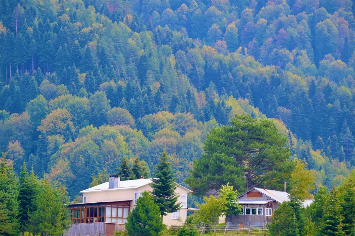 Düzce’de sonbahar renkleri kendini gösterdi Düzce’de sonbahar renkleri kendini gösterdi