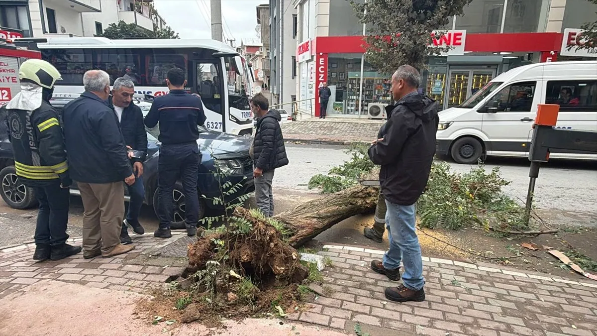 Kocaeli’de devrilen ağaç park halindeki cipe zarar verdi Kocaeli’de devrilen ağaç park halindeki cipe zarar verdi