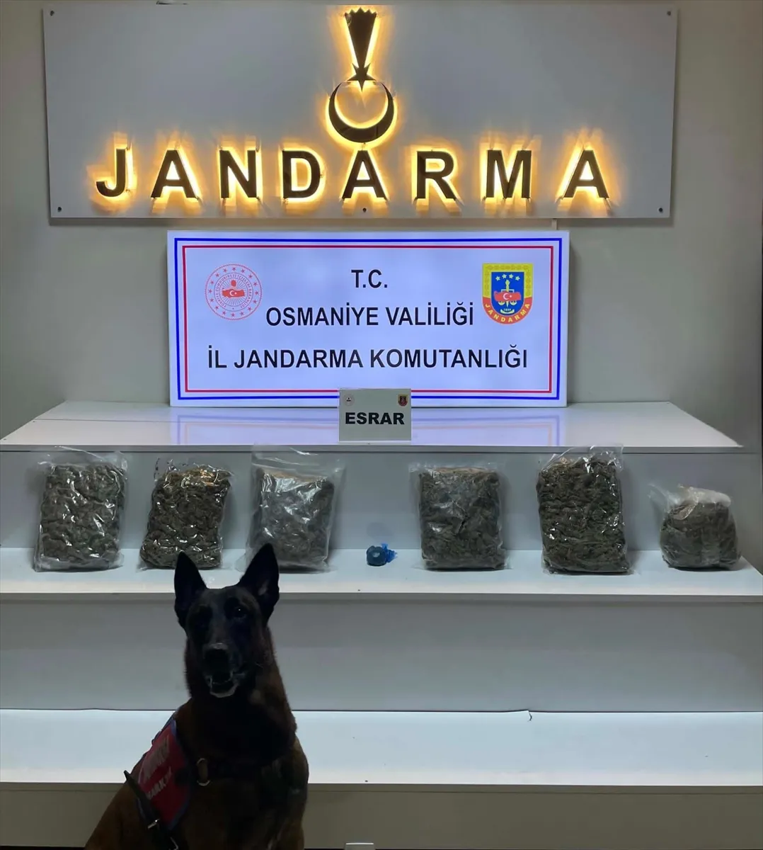 Osmaniye’de yayla evinde 2 kilo 800 gram esrar ele geçirildi Osmaniye’de yayla evinde 2 kilo 800 gram esrar ele geçirildi