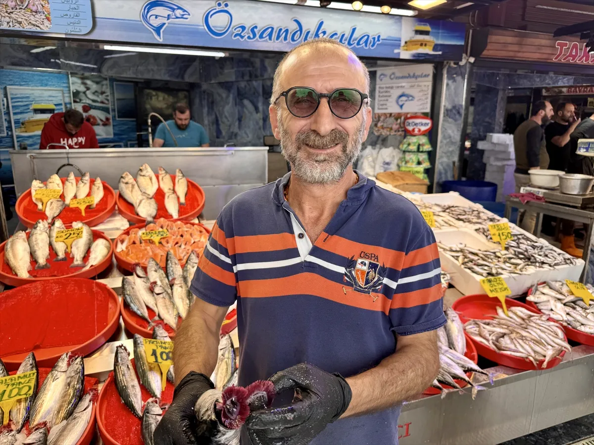 Trabzon’da palamut 100-125 liradan alıcı buluyor Trabzon’da palamut 100-125 liradan alıcı buluyor