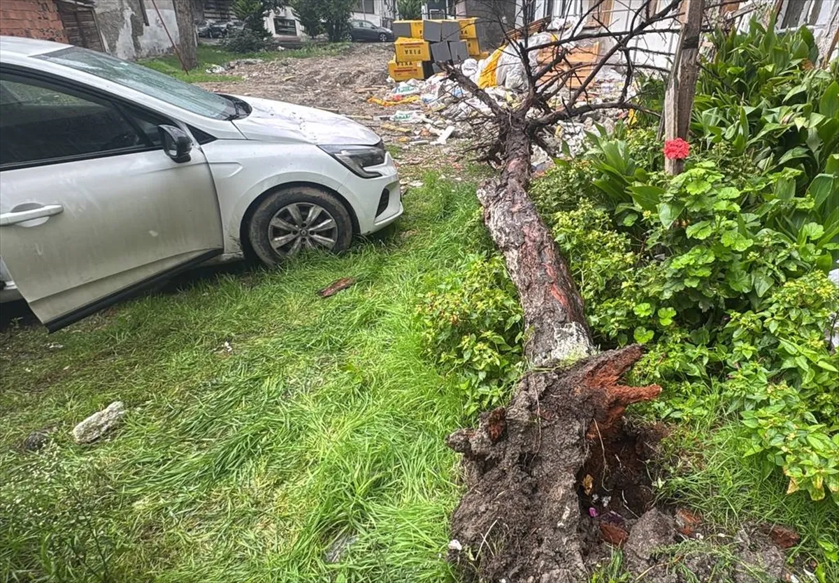 Bağcılar’da park halindeki otomobile ağaç devrildi Bağcılar’da park halindeki otomobile ağaç devrildi