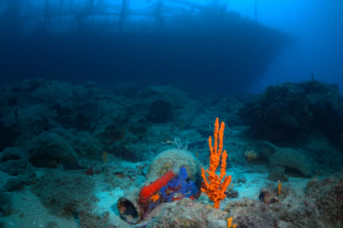 Bodrum açıklarındaki Yassıada’da su altı mirası kontrollü dalışlarla keşfediliyor
