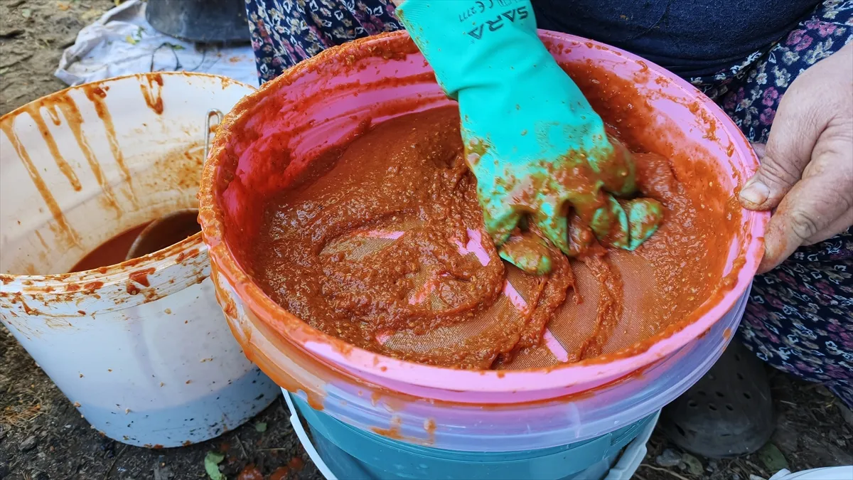 Bozkır’da yörükler kuşburnu ve keçiboynuzu mesaisine başladı Bozkır’da yörükler kuşburnu ve keçiboynuzu mesaisine başladı