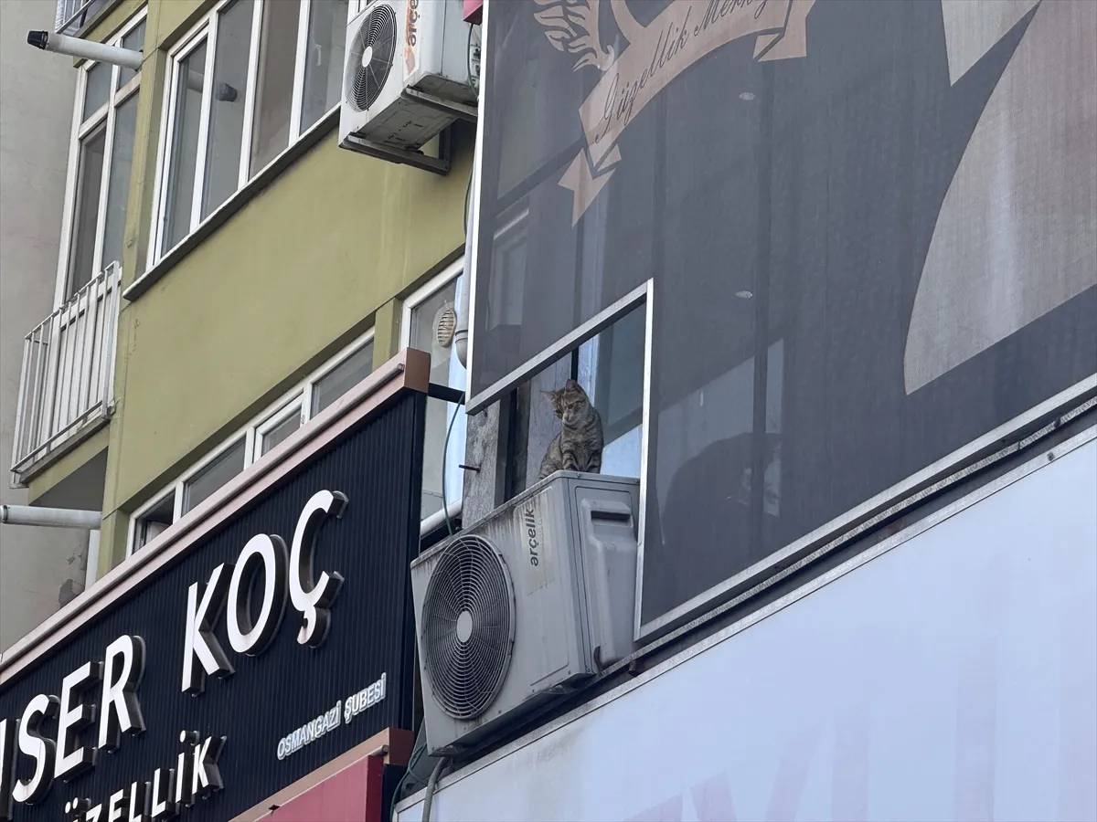 Bursa’da kediyi kurtarırken pencereden düşen kişi tedavi gördüğü hastanede öldü