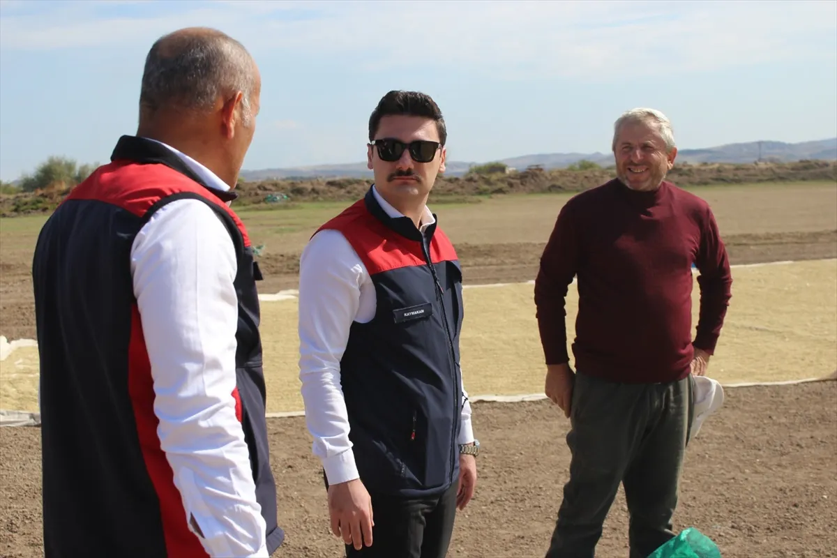 Çankırı’nın Kızılırmak ilçesinde 2026 yılı çeltik hasadı başladı Çankırı’nın Kızılırmak ilçesinde 2026 yılı çeltik hasadı başladı