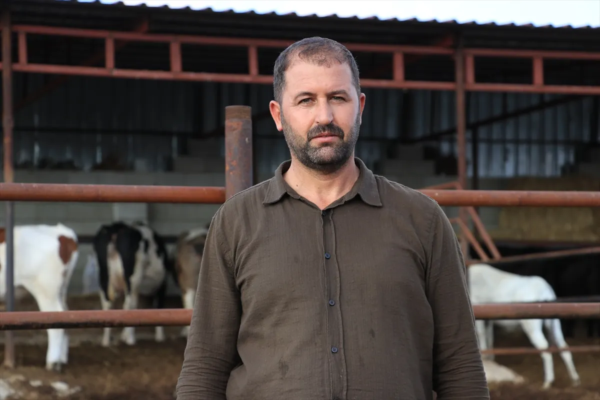 Devlet desteğiyle aldığı 15 düveyle sürüsünü 40 hayvana çıkardı Devlet desteğiyle aldığı 15 düveyle sürüsünü 40 hayvana çıkardı