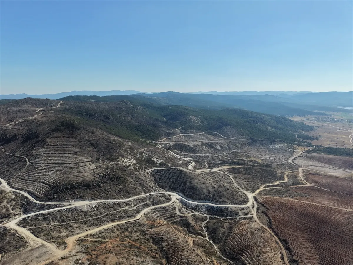 Eber Gölü’ndeki sazlık ve Sarıcaova’daki yanan ormanlarda yaban hayatı izleniyor Eber Gölü’ndeki sazlık ve Sarıcaova’daki yanan ormanlarda yaban hayatı izleniyor