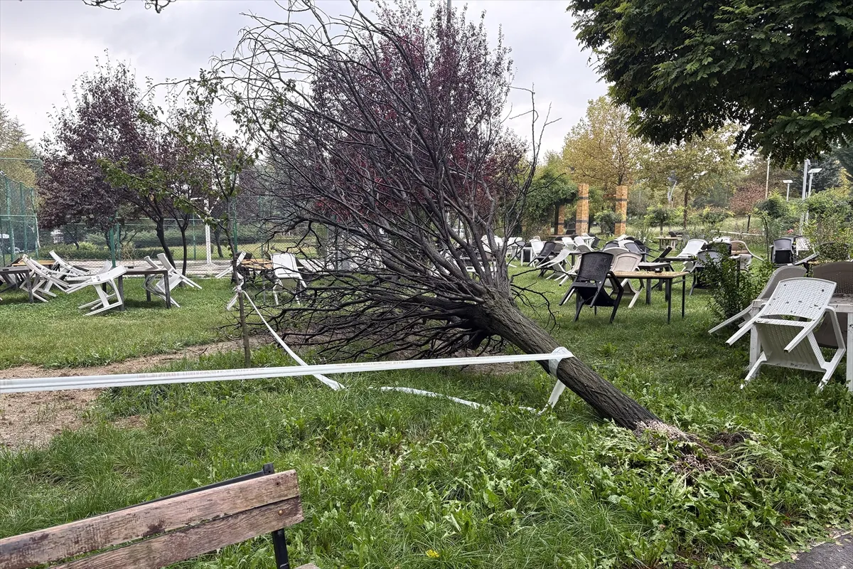 Elazığ’da devrilen ağaç hafif ticari aracın üzerine düştü Elazığ’da devrilen ağaç hafif ticari aracın üzerine düştü