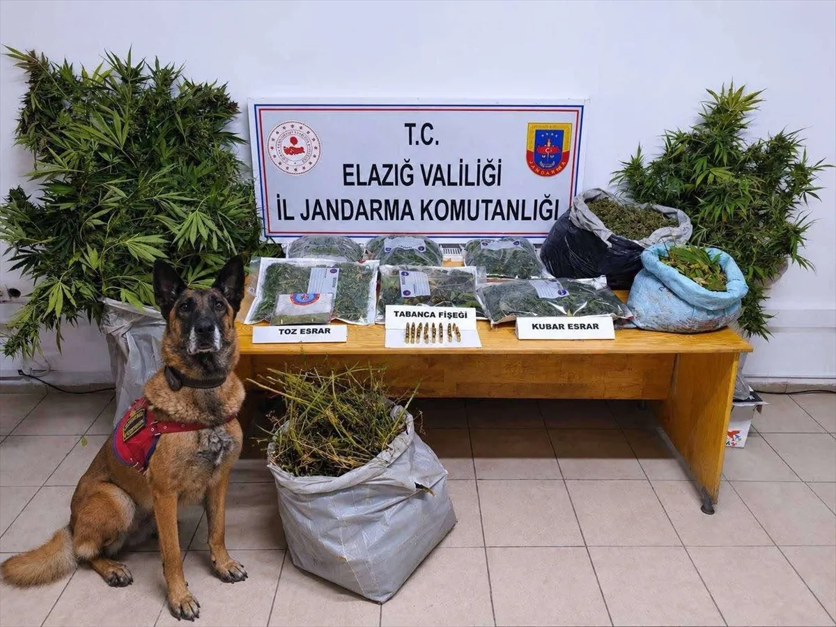 Elazığ’da uyuşturucu operasyonunda 3 şüpheli tutuklandı Elazığ’da uyuşturucu operasyonunda 3 şüpheli tutuklandı