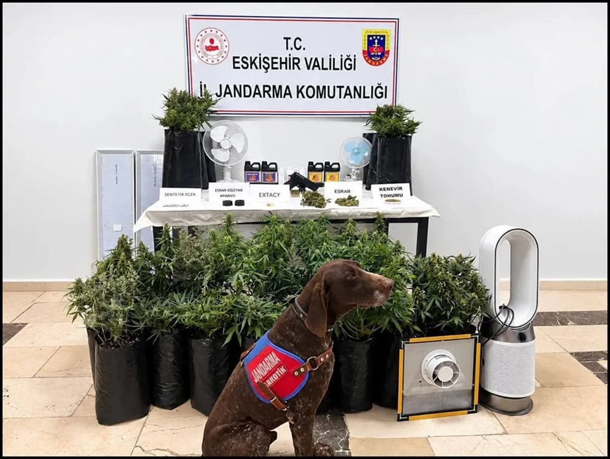 Eskişehir’de uyuşturucu operasyonunda bir şüpheli yakalandı Eskişehir’de uyuşturucu operasyonunda bir şüpheli yakalandı