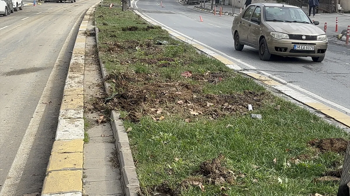 Eyüpsultan’da tramvay hattı çalışması için ağaçların kesildiği iddiasına vatandaşlardan tepki Eyüpsultan’da tramvay hattı çalışması için ağaçların kesildiği iddiasına vatandaşlardan tepki