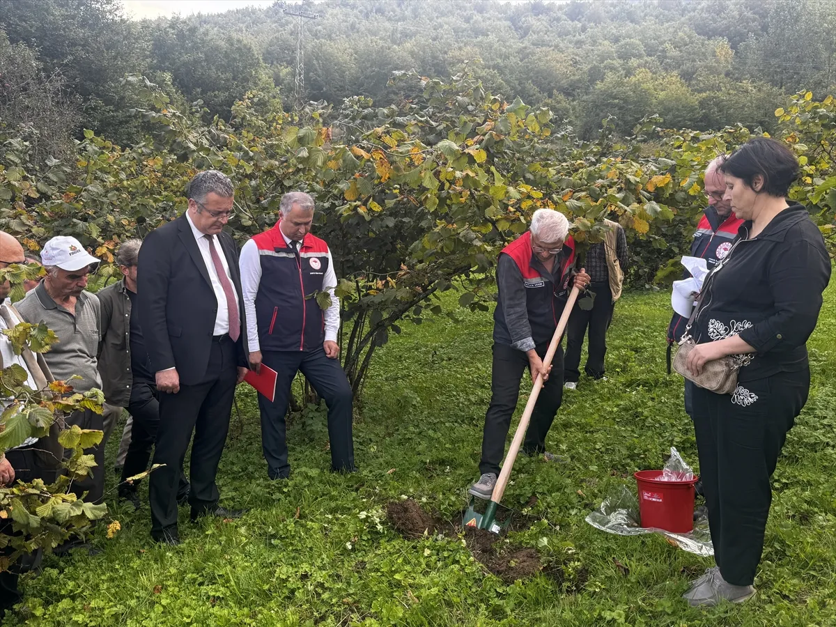 Fındıkta randıman ve üretimi artırmak için FINDEK projesi başlatıldı Fındıkta randıman ve üretimi artırmak için FINDEK projesi başlatıldı