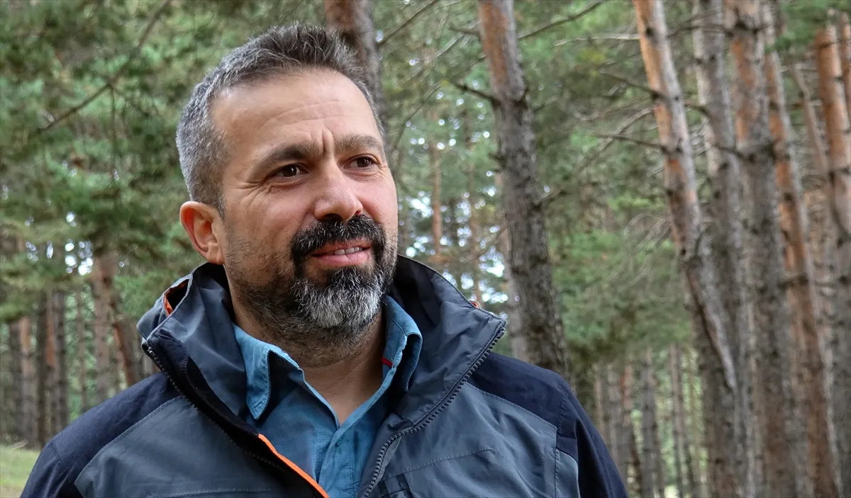 Göçmen bozayılar kış uykusu öncesi Sarıkamış’ta toplanıyor Göçmen bozayılar kış uykusu öncesi Sarıkamış’ta toplanıyor