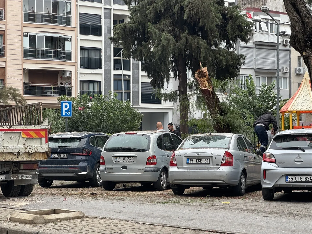 İzmir’de park halindeki 4 otomobilin üzerine ağaç devrildi İzmir’de park halindeki 4 otomobilin üzerine ağaç devrildi