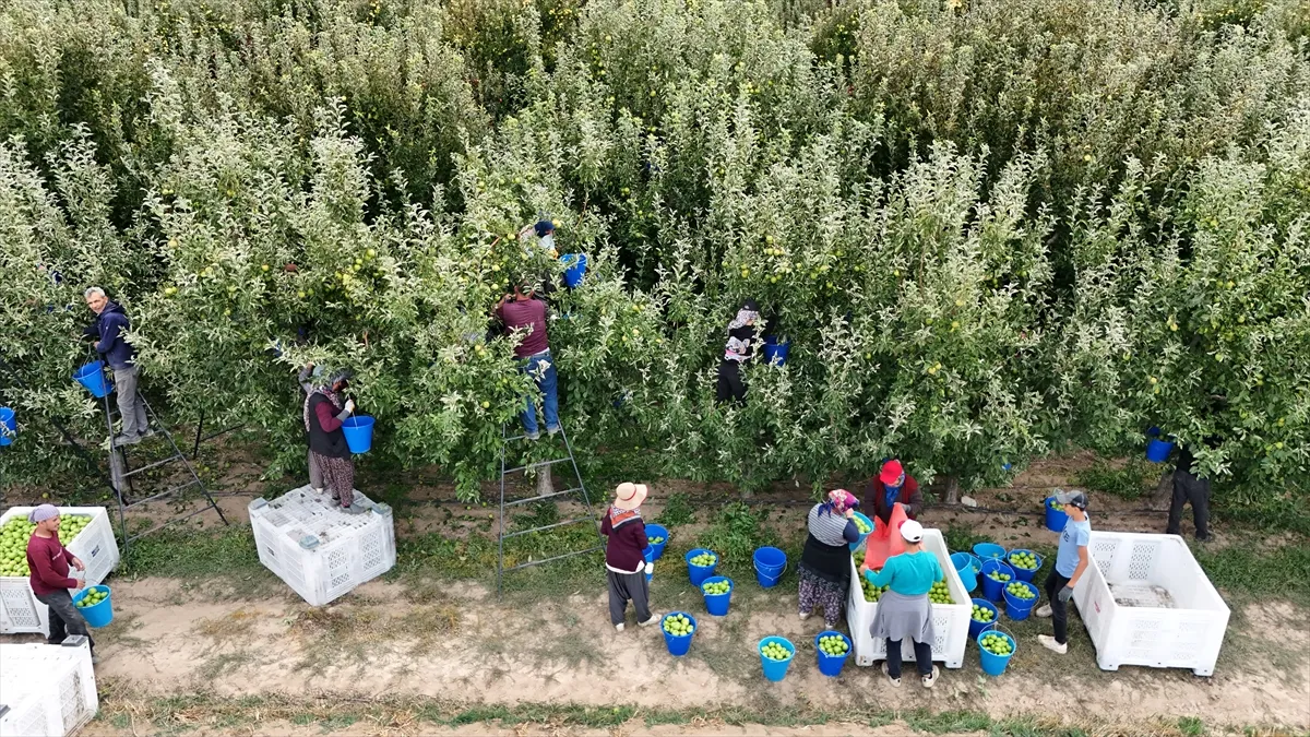 Karaman’da 700 bin tonluk elma hasadında 30 binden fazla mevsimlik işçi çalışıyor Karaman’da 700 bin tonluk elma hasadında 30 binden fazla mevsimlik işçi çalışıyor