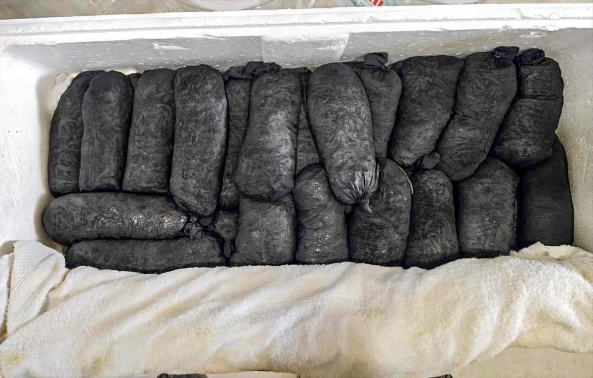 Kayseri Havalimanı’nda 25 bin canlı sülük ele geçirildi Kayseri Havalimanı’nda 25 bin canlı sülük ele geçirildi