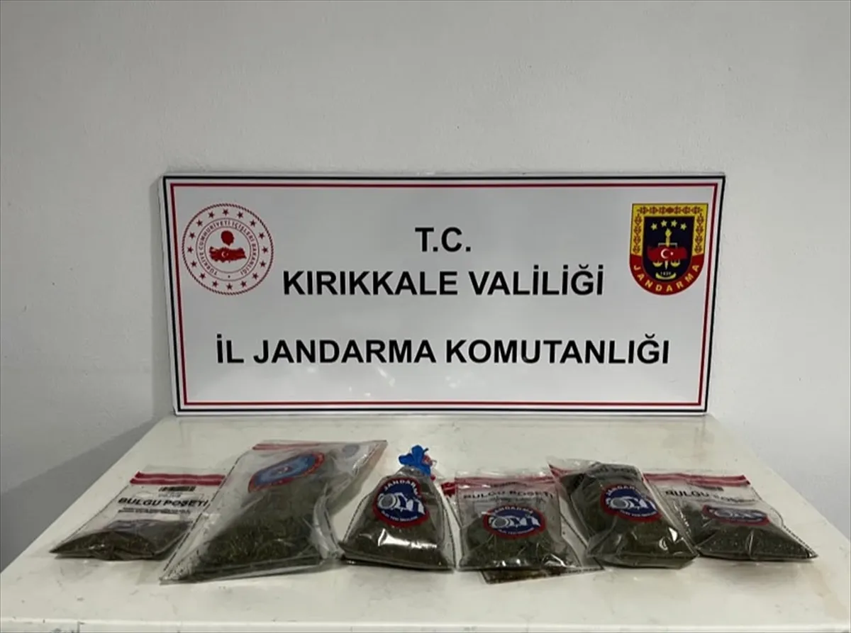 Kırıkkale’de evinin bahçesinde kenevir bitkisi yetiştiren zanlı gözaltına alındı