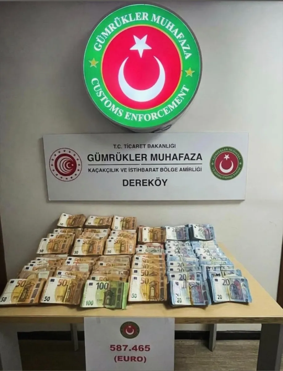 Kırklareli’nde döviz kaçakçılığı operasyonunda 1 şüpheli gözaltına alındı