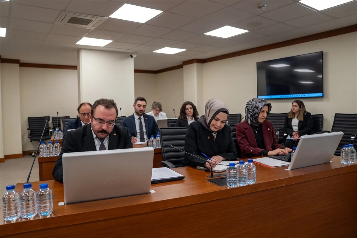 MDF ve yonga levha sektörüne yönelik rekabet soruşturmasında sözlü savunma toplantısı yapıldı MDF ve yonga levha sektörüne yönelik rekabet soruşturmasında sözlü savunma toplantısı yapıldı
