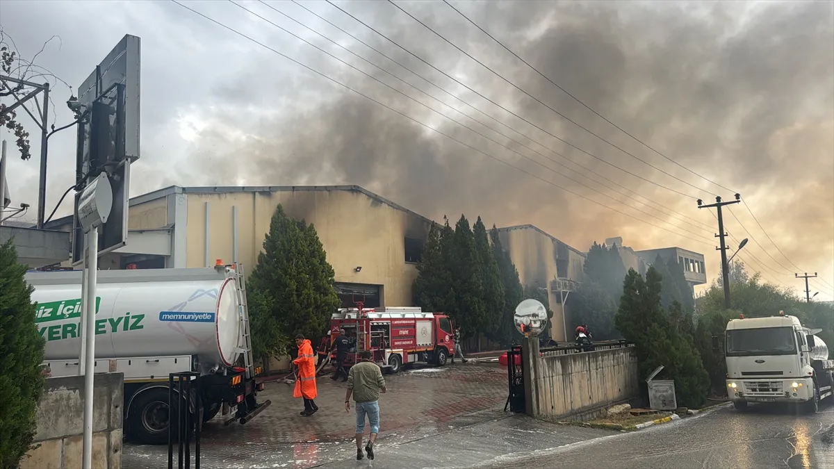 Mersin’de tütün işleme tesisinde yangın çıktı Mersin’de tütün işleme tesisinde yangın çıktı