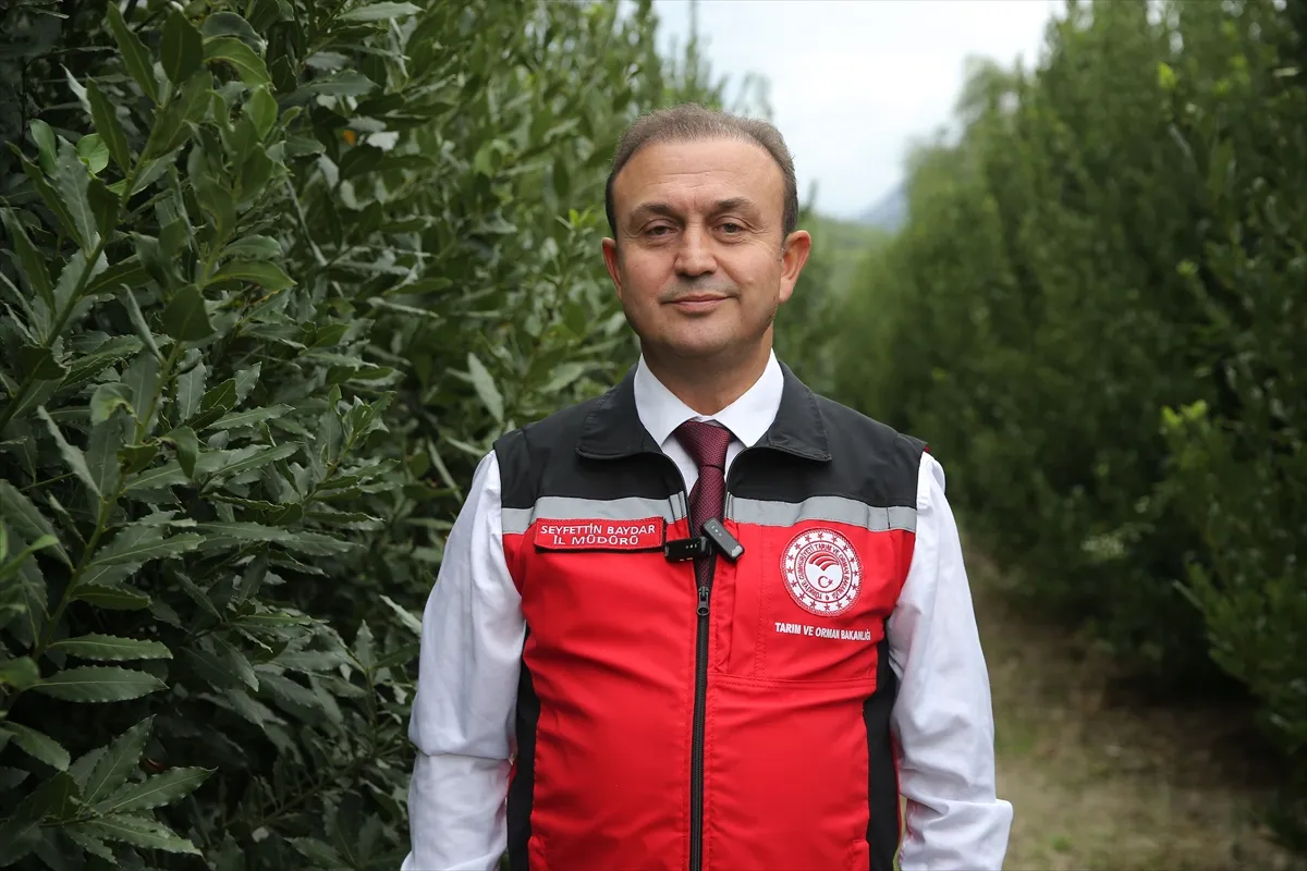 Muğla’dan su ürünleri ihracatı 9 ayda 630 milyon 901 bin dolara ulaştı