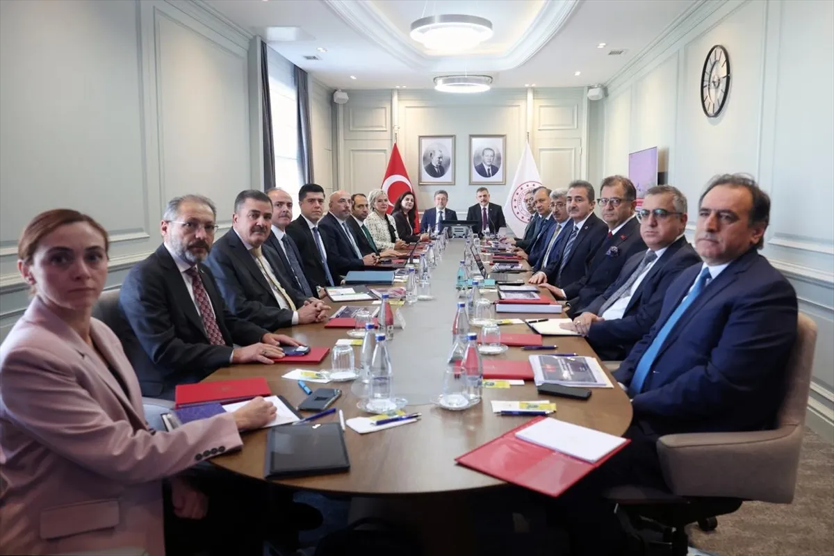 Sahipsiz sokak hayvanlarına yönelik çalışmalar değerlendirildi