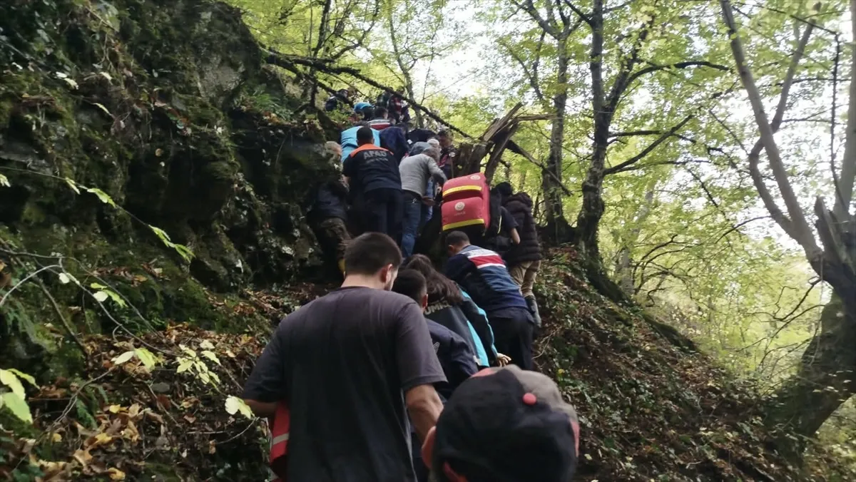 Sinop’ta 3 gündür kayıp olan kadın ormanda bulundu Sinop’ta 3 gündür kayıp olan kadın ormanda bulundu
