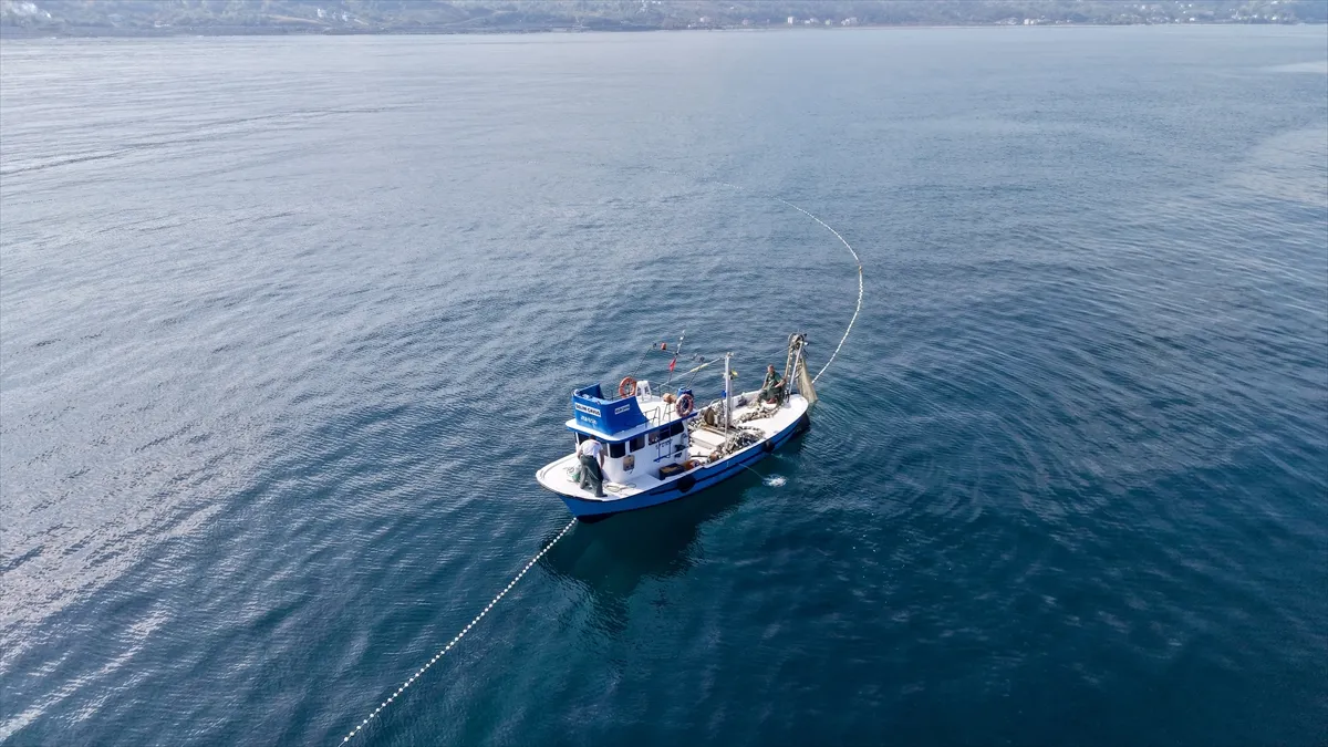 Sinop’ta balıkçıların palamut avı dronla görüntülendi Sinop’ta balıkçıların palamut avı dronla görüntülendi