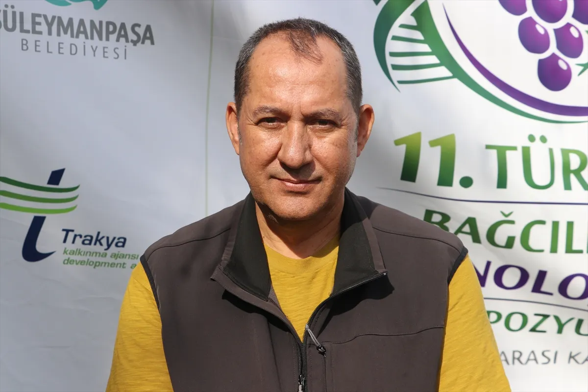 Türkiye’nin asma yaprağı ihracatında Tekirdağ, Manisa ve Tokat öne çıkıyor
