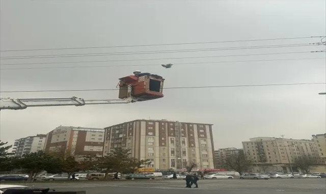 Kayseri’de elektrik teline takılarak mahsur kalan güvercini itfaiye kurtardı Kayseri’de elektrik teline takılarak mahsur kalan güvercini itfaiye kurtardı