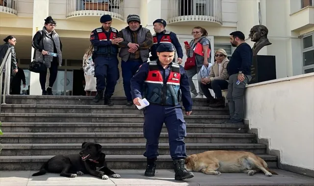Bodrum’da 6 köpek ve 3 kedinin ölümüyle ilgili gözaltına alınan zanlı tutuklandı Bodrum’da 6 köpek ve 3 kedinin ölümüyle ilgili gözaltına alınan zanlı tutuklandı