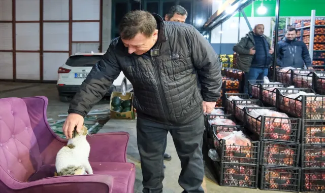Odunpazarı Belediye Başkan adayı Alp, sahipsiz hayvanlara yönelik projesini anlattı Odunpazarı Belediye Başkan adayı Alp, sahipsiz hayvanlara yönelik projesini anlattı
