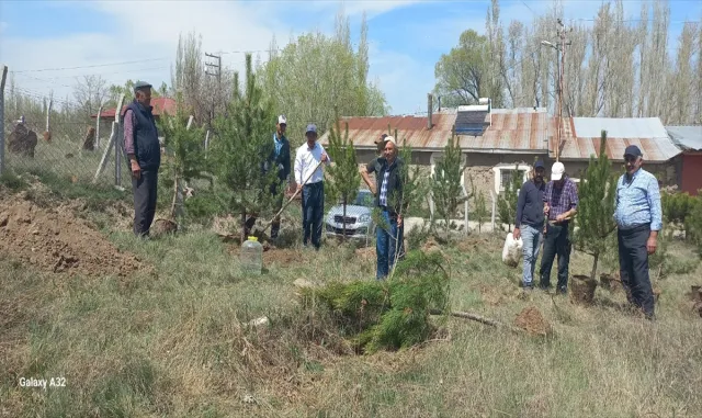Ulaş’ta köy mezarlığı ağaçlandırıldı Ulaş’ta köy mezarlığı ağaçlandırıldı