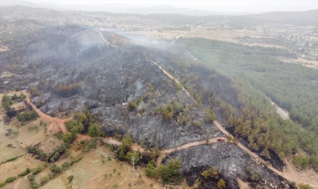 GÜNCELLEME 2 - Muğla’nın Milas ilçesinde çıkan orman yangını kontrol altına alındı GÜNCELLEME 2 - Muğla’nın Milas ilçesinde çıkan orman yangını kontrol altına alındı