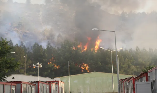 GÜNCELLEME - Gaziantep’te ormanlık alanda çıkarak barınma merkezine sıçrayan yangın kontrol altına alındı GÜNCELLEME - Gaziantep’te ormanlık alanda çıkarak barınma merkezine sıçrayan yangın kontrol altına alındı