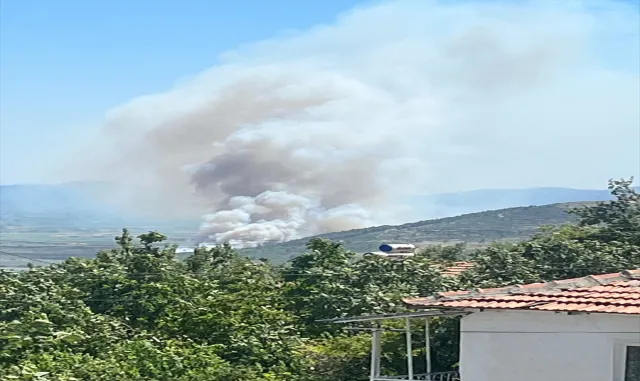 GÜNCELLEME - Manisa Soma’da çıkan orman yangını kontrol altına alındı GÜNCELLEME - Manisa Soma’da çıkan orman yangını kontrol altına alındı