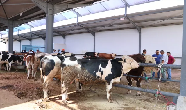 İç Anadolu’daki kurban pazarlarında arife günü hareketlilik yaşandı İç Anadolu’daki kurban pazarlarında arife günü hareketlilik yaşandı