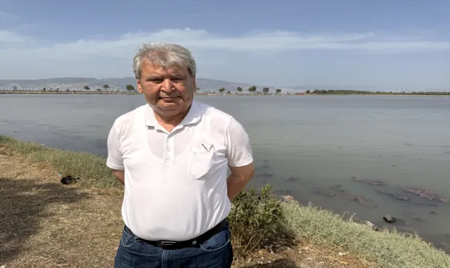 İzmir’de plankton patlaması denizin rengini değiştirdi İzmir’de plankton patlaması denizin rengini değiştirdi