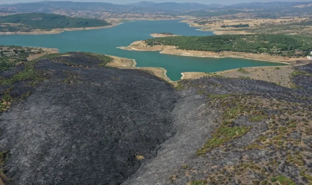 Balıkesir’de orman yangınına neden olduğu öne sürülen şüpheli tutuklandı Balıkesir’de orman yangınına neden olduğu öne sürülen şüpheli tutuklandı