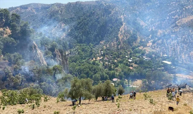 GÜNCELLEME - Aydın’da kontrol altına alınan ormanlık ve zeytinlik alandaki yangın yeniden yükseldi GÜNCELLEME - Aydın’da kontrol altına alınan ormanlık ve zeytinlik alandaki yangın yeniden yükseldi
