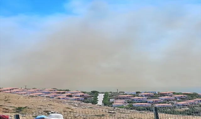 İzmir’in Çeşme ilçesinde ormanlık alanda çıkan yangınla ilgili 4 gözaltı İzmir’in Çeşme ilçesinde ormanlık alanda çıkan yangınla ilgili 4 gözaltı