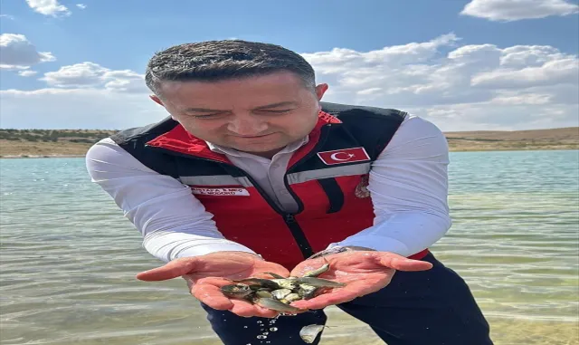 Kırşehir’de göletlere 1 milyon 394 bin sazan yavrusu bırakıldı Kırşehir’de göletlere 1 milyon 394 bin sazan yavrusu bırakıldı