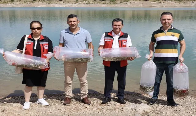 Nevşehir’de baraj göletlerine 720 bin sazan yavrusu bırakıldı Nevşehir’de baraj göletlerine 720 bin sazan yavrusu bırakıldı
