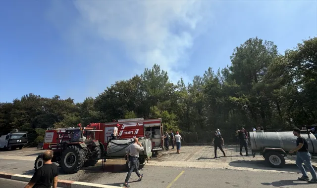 GÜNCELLEME - OMÜ kampüsündeki ormanlık alanda çıkan yangın kontrol altına alındı GÜNCELLEME - OMÜ kampüsündeki ormanlık alanda çıkan yangın kontrol altına alındı