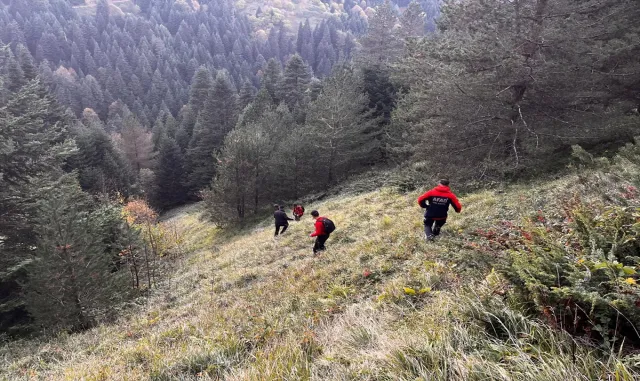Bolu’da yaylada kaybolan yaşlı çift ölü bulundu Bolu’da yaylada kaybolan yaşlı çift ölü bulundu