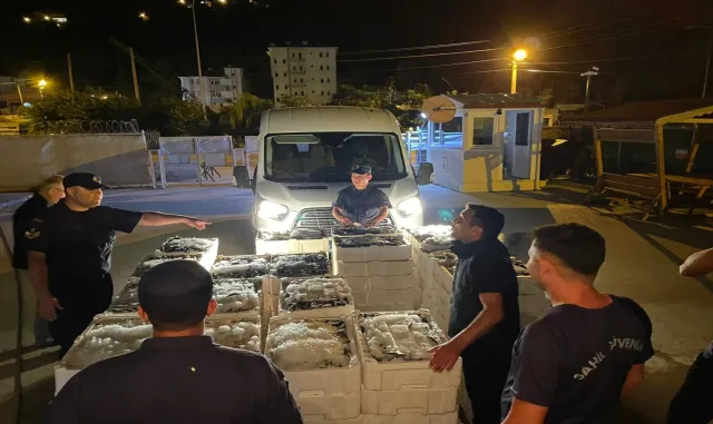 Kastamonu’da boy limitinin altında avlanan 162 kasa balığa el konuldu Kastamonu’da boy limitinin altında avlanan 162 kasa balığa el konuldu