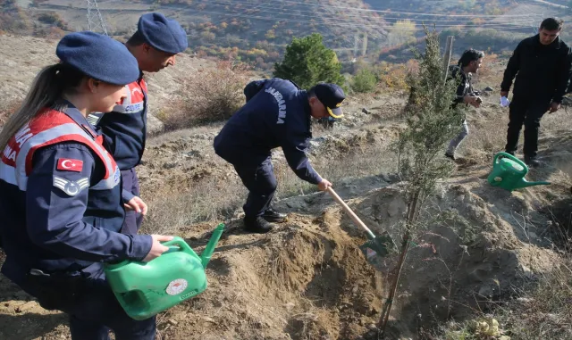 Samsun ve çevre illerde Milli Ağaçlandırma Günü’nde fidanlar toprakla buluştu Samsun ve çevre illerde Milli Ağaçlandırma Günü’nde fidanlar toprakla buluştu