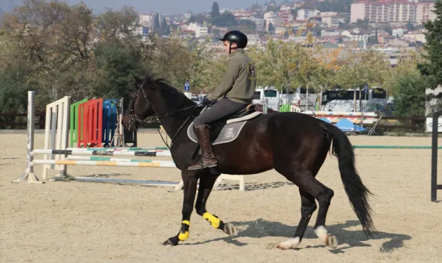 Tören ve müsabaka atları emeklilikte de binicilik sporuna hizmet ediyor Tören ve müsabaka atları emeklilikte de binicilik sporuna hizmet ediyor