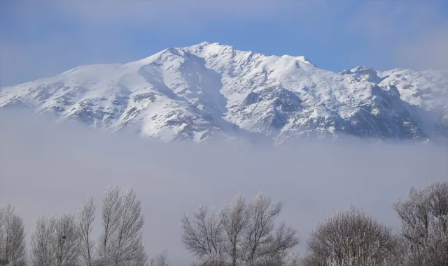 Tunceli’de dağları sis, ovalardaki ağaç ve bitkileri ise kırağı kapladı Tunceli’de dağları sis, ovalardaki ağaç ve bitkileri ise kırağı kapladı